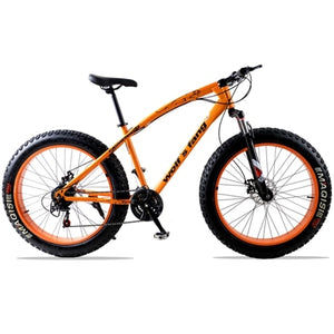 Flying Leopard mountain bike 7/21speed