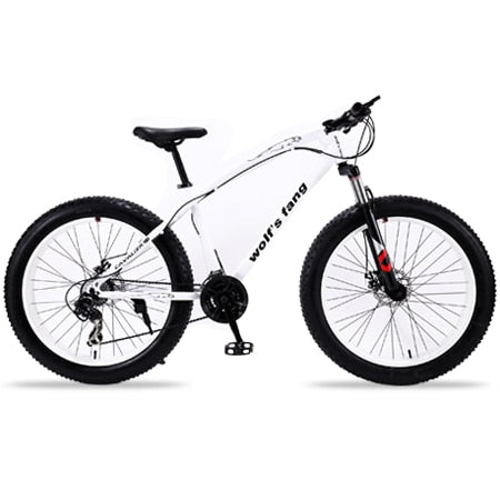 Flying Leopard mountain bike 7/21speed