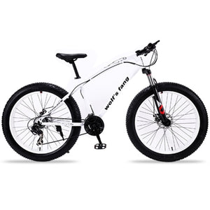 Flying Leopard mountain bike 7/21speed