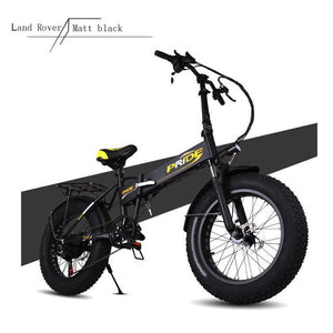 20" 4.0 inch Fat Tire Electric bike 48V12A Lithium Battery