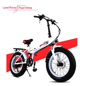 Electric bike 48V12A Electric 20" 4.0 Fat Tire ebike Aluminum Folding 350W