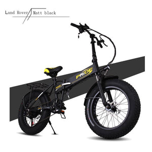 Electric bike 48V12A Electric 20" 4.0 Fat Tire ebike Aluminum Folding 350W